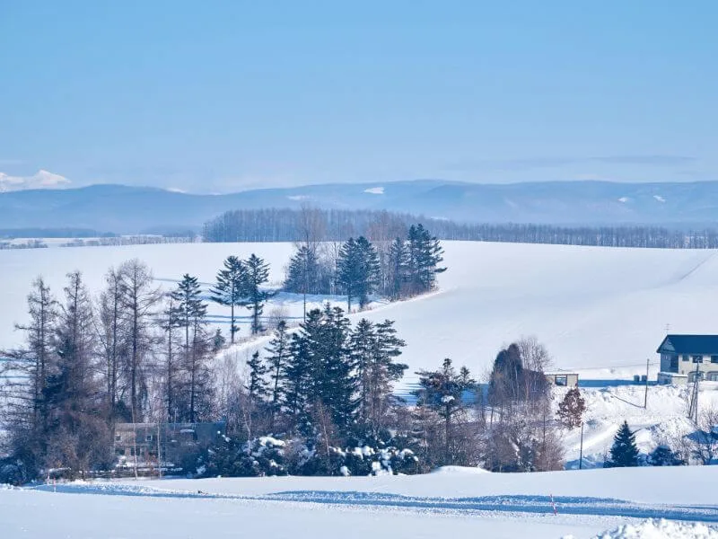 Snow-covered Hokkaido landscape — image from Shen Deng’s official website