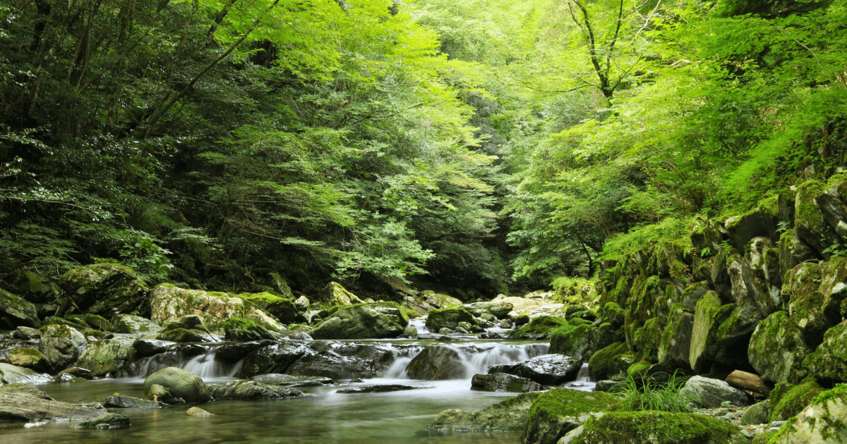 2026德島自由行攻略｜交通方式、必去景點、美食推薦與行程安排