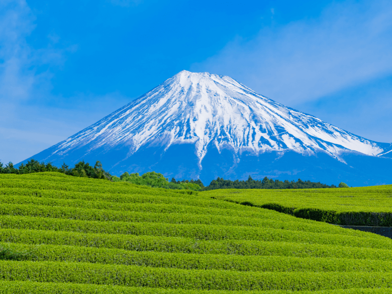 2026名古屋自由行攻略｜交通動線、必吃美食、經典景點總整理