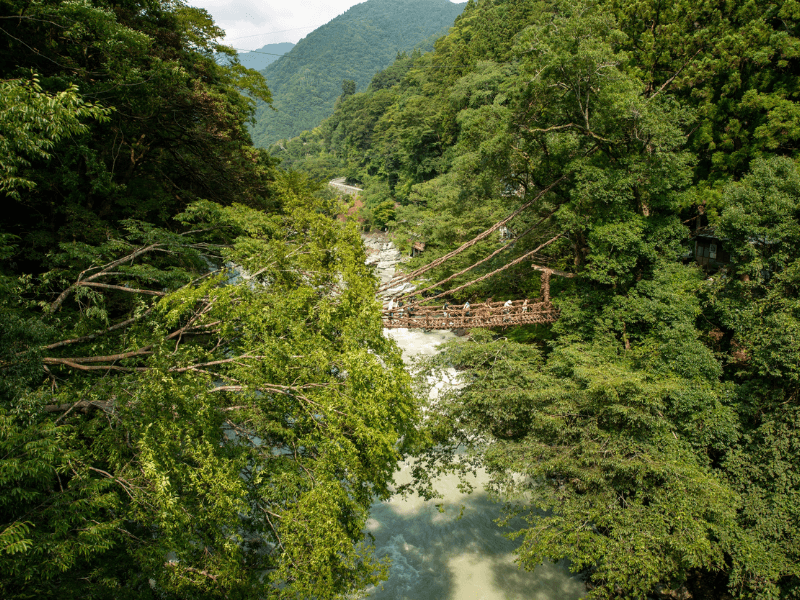 祖谷溪谷