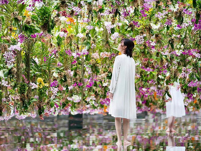 teamLab Planets TOKYO