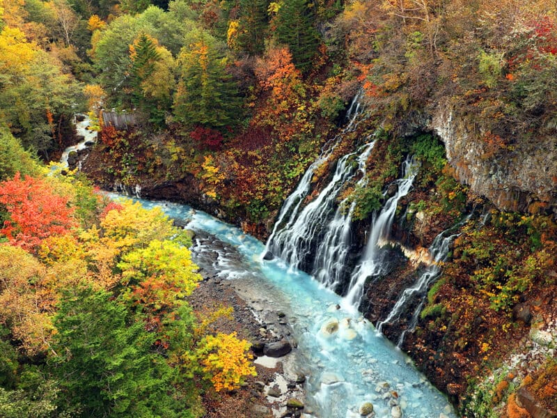 北海道賞楓時間表