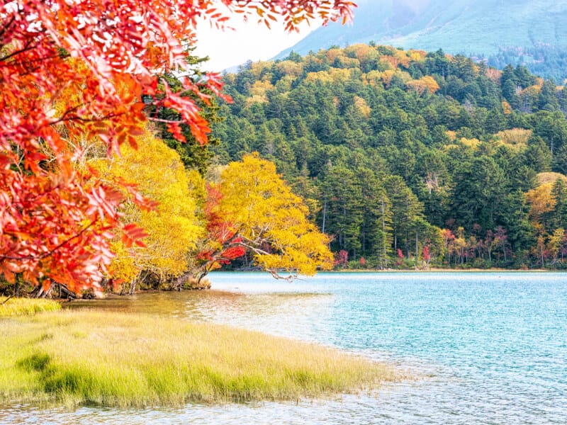 阿寒湖