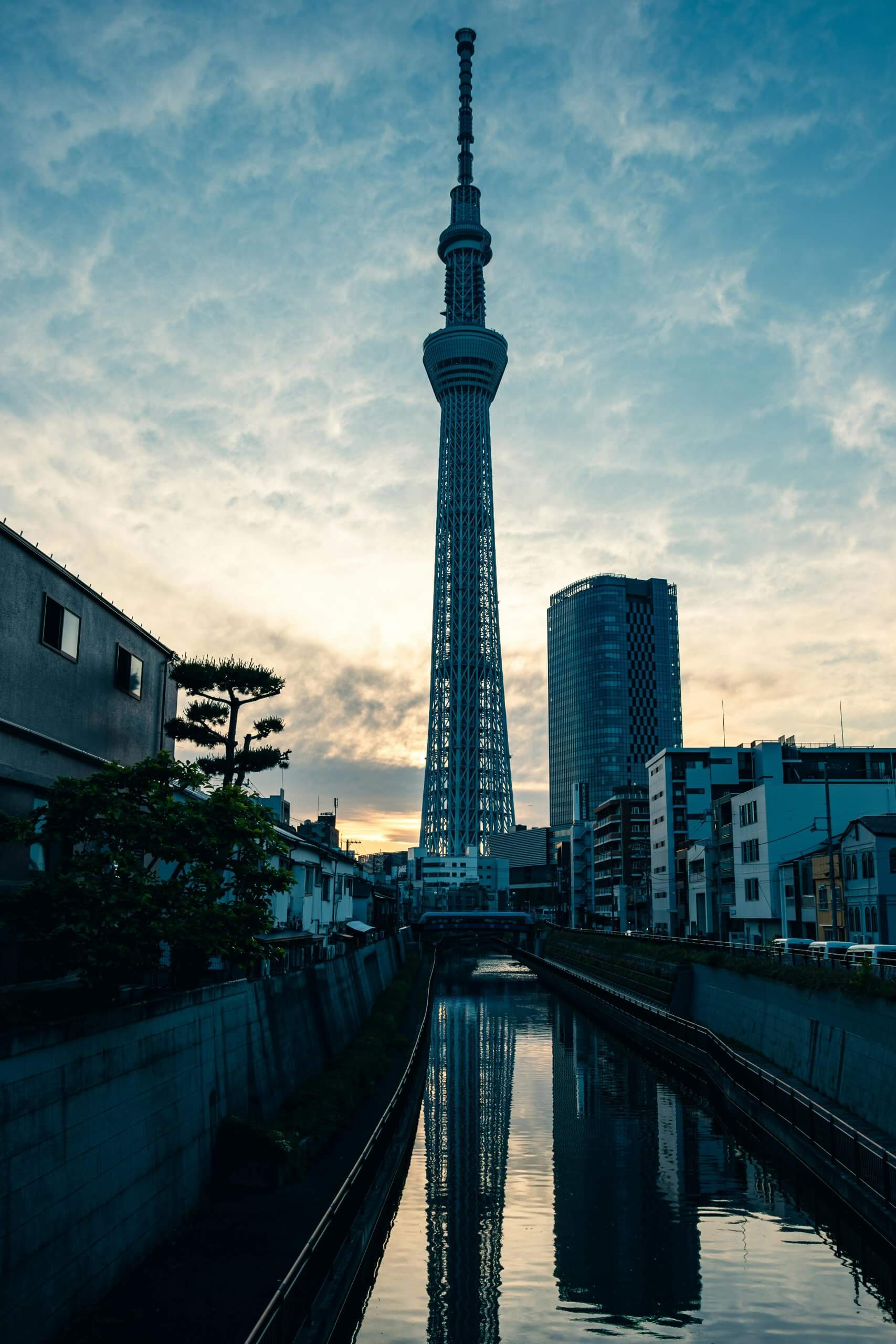 2024 東京包車旅遊心得分享