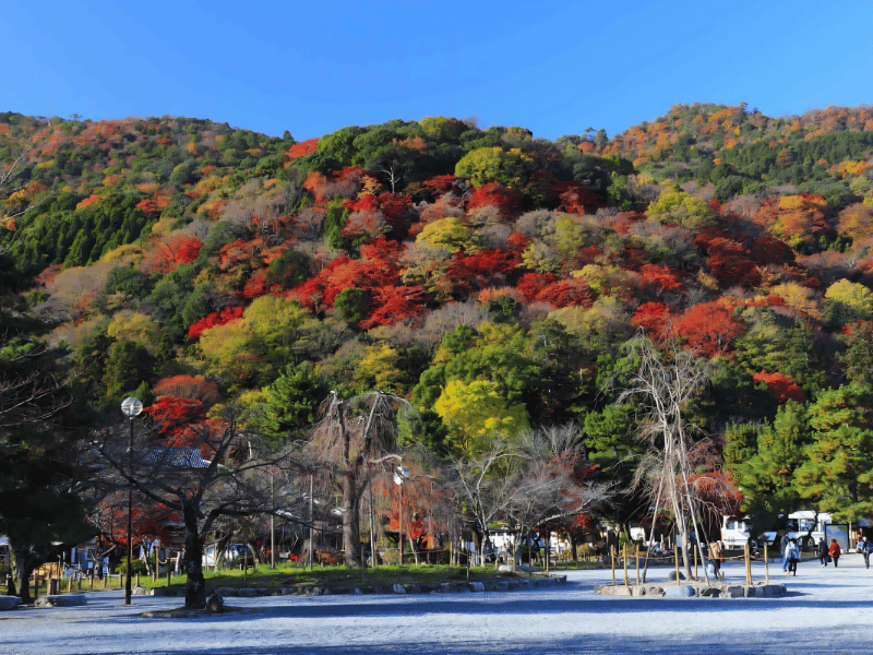 關西機場到京都包車