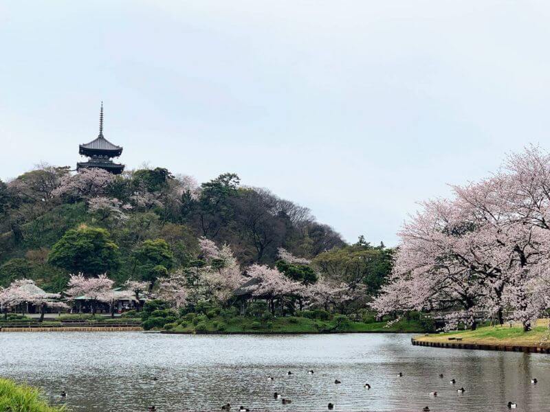 三溪園