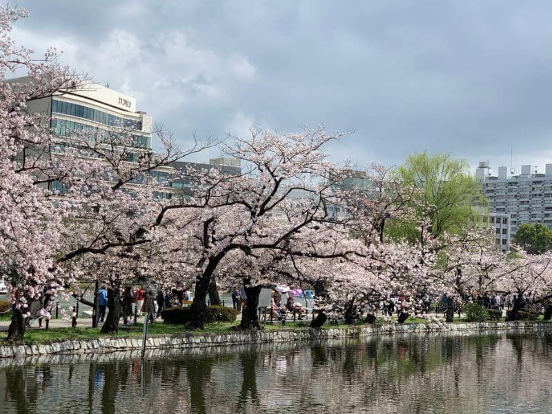 上野恩賜公園