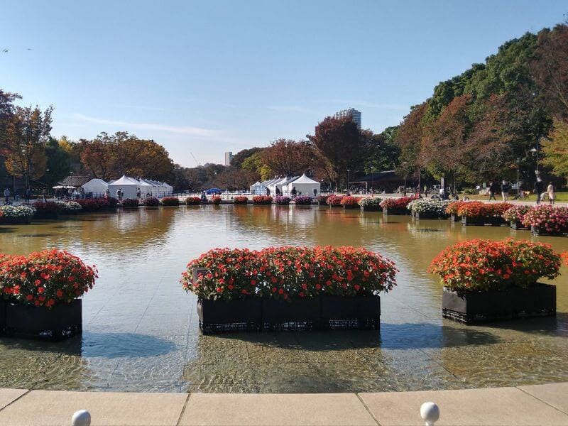 東京上野恩賜公園賞楓