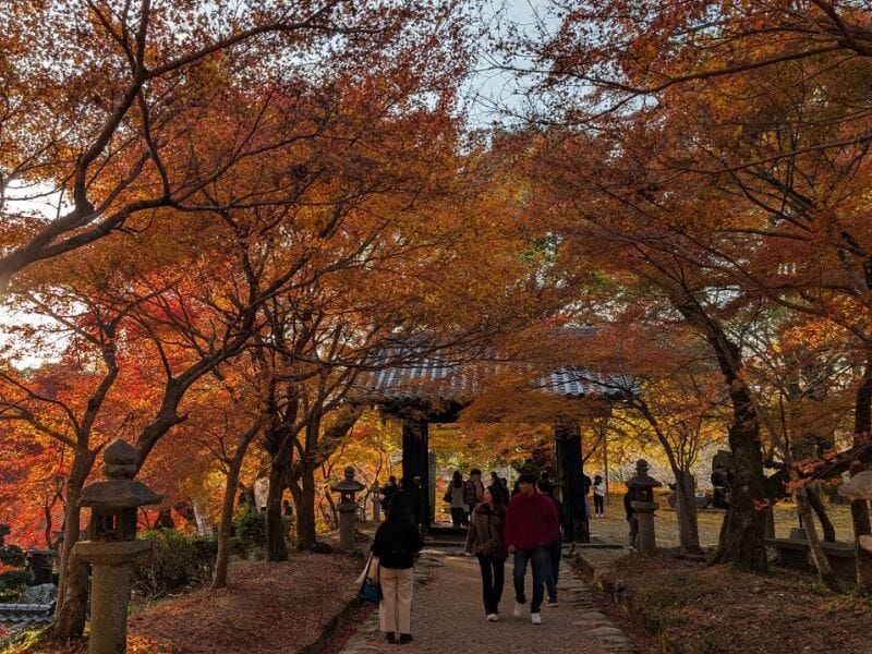 九州賞楓景點