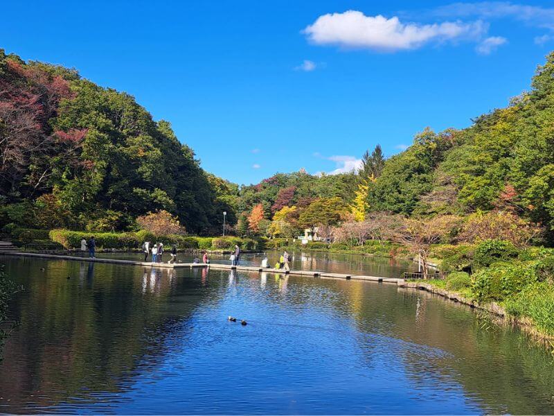 虎航飛仙台