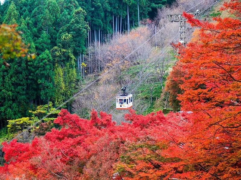 吉野山