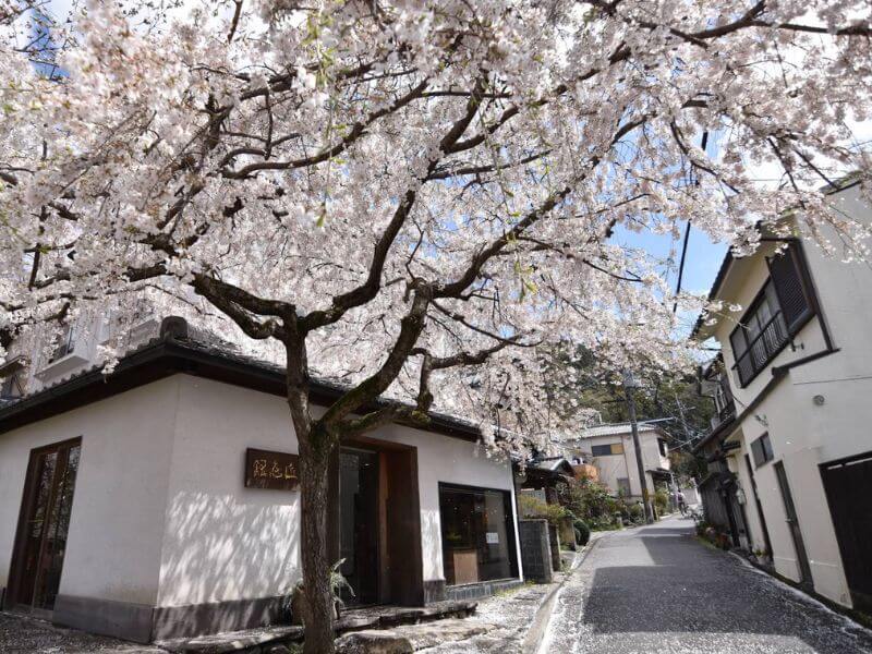 哲學之道