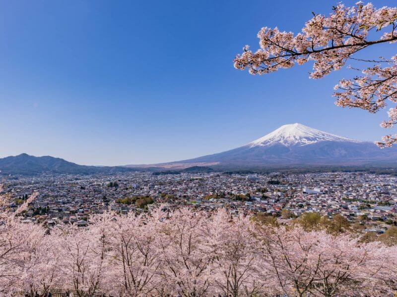 新倉山淺間公園