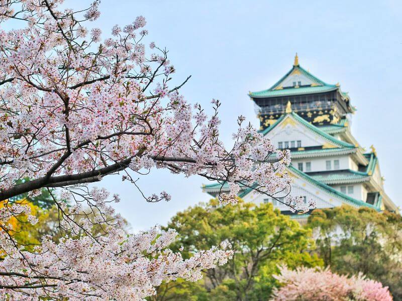 日本櫻花季
