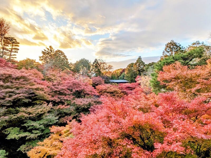東福寺