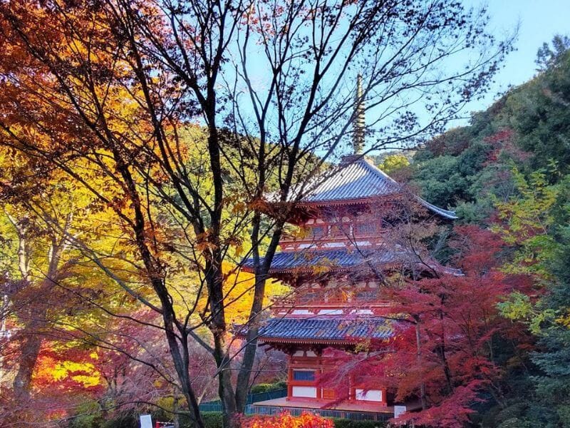 清水寺本坊庭園