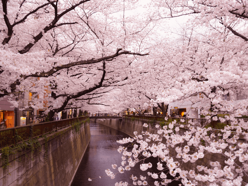 目黑川