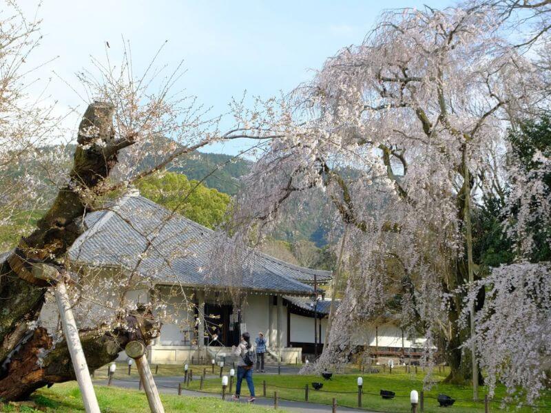 醍醐寺