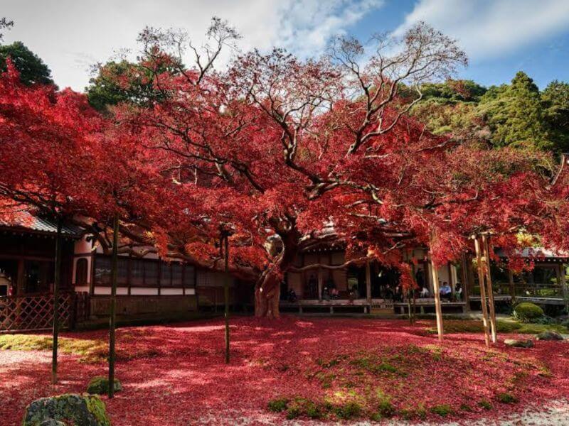 雷山千如寺大悲王院